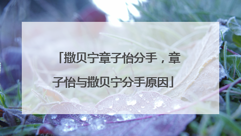撒贝宁章子怡分手，章子怡与撒贝宁分手原因