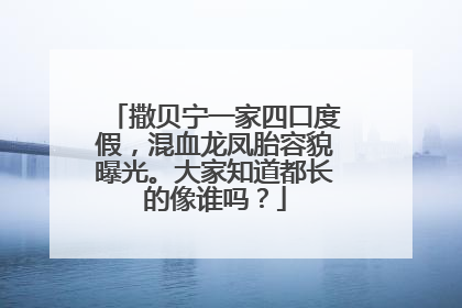 撒贝宁一家四口度假，混血龙凤胎容貌曝光。大家知道都长的像谁吗？