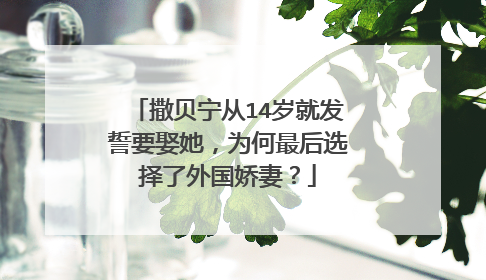 撒贝宁从14岁就发誓要娶她,为何最后选择了外国娇妻?