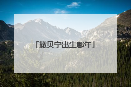 撒贝宁出生哪年