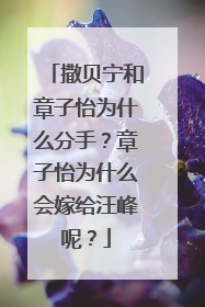 撒贝宁和章子怡为什么分手？章子怡为什么会嫁给汪峰呢？