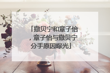 撒贝宁和章子怡，章子怡与撒贝宁分手原因曝光