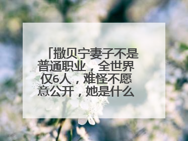 撒贝宁妻子不是普通职业，全世界仅6人，难怪不愿意公开，她是什么职业？