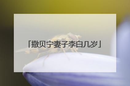 撒贝宁妻子李白几岁