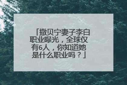撒贝宁妻子李白职业曝光，全球仅有6人，你知道她是什么职业吗？
