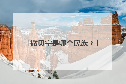 撒贝宁是哪个民族﹖