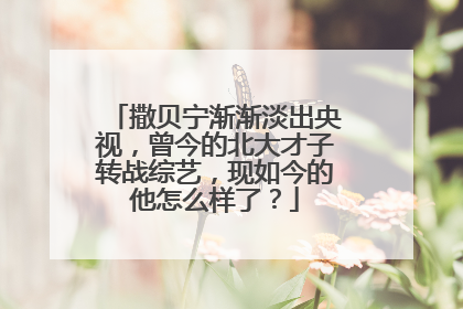 撒贝宁渐渐淡出央视,曾今的北大才子转战综艺,现如今的他怎么样了?