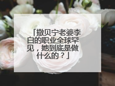 撒贝宁老婆李白的职业全球罕见，她到底是做什么的？
