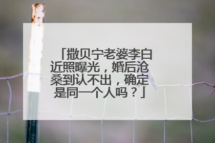 撒贝宁老婆李白近照曝光,婚后沧桑到认不出,确定是同一个人吗?