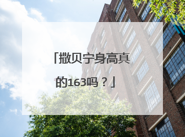 撒贝宁身高真的163吗?