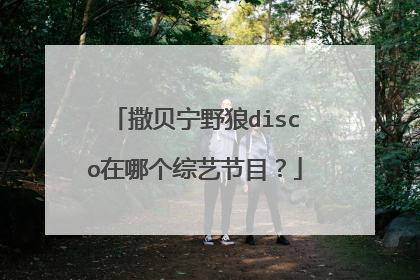 撒贝宁野狼disco在哪个综艺节目?