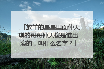 放羊的星星里面仲天琪的哥哥仲天俊是谁出演的,叫什么名字?