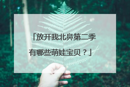 放开我北鼻第二季有哪些萌娃宝贝？