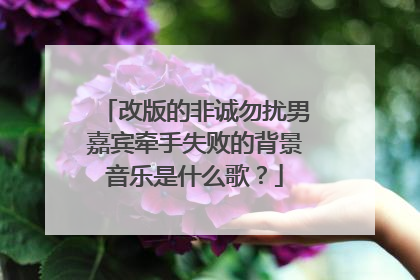 改版的非诚勿扰男嘉宾牵手失败的背景音乐是什么歌？