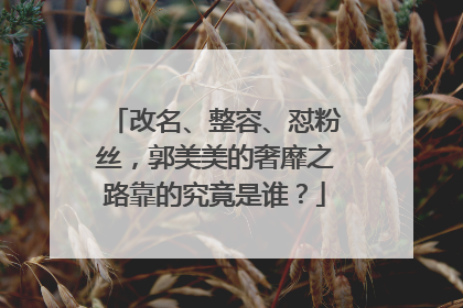 改名、整容、怼粉丝,郭美美的奢靡之路靠的究竟是谁?