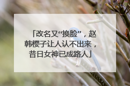 改名又“换脸”,赵韩樱子让人认不出来,昔日女神已成路人