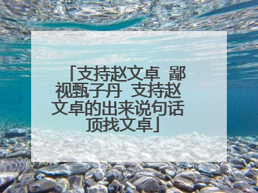 支持赵文卓 鄙视甄子丹 支持赵文卓的出来说句话 顶找文卓