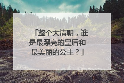 整个大清朝,谁是最漂亮的皇后和最美丽的公主?