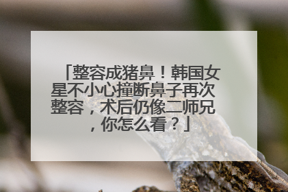 整容成猪鼻!韩国女星不小心撞断鼻子再次整容,术后仍像二师兄,你怎么看?