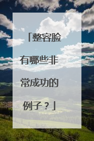 整容脸有哪些非常成功的例子？