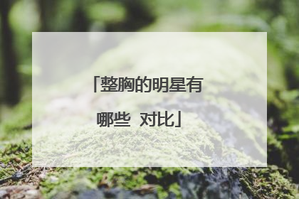 整胸的明星有哪些 对比