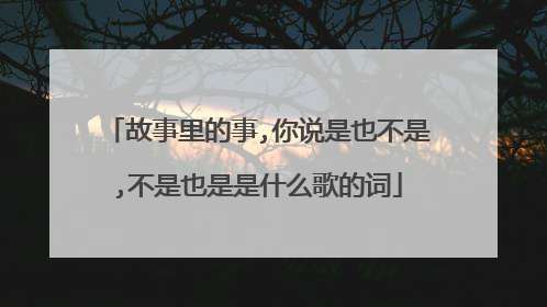 故事里的事,你说是也不是,不是也是是什么歌的词