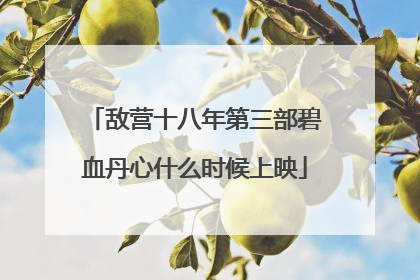 敌营十八年第三部碧血丹心什么时候上映