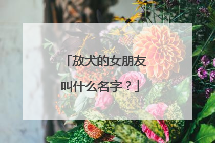 敖犬的女朋友叫什么名字？