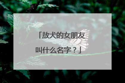 敖犬的女朋友叫什么名字？