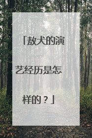 敖犬的演艺经历是怎样的?