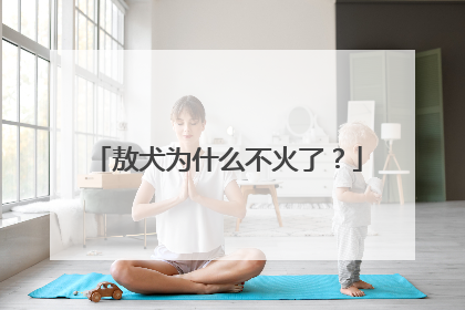 敖犬为什么不火了?