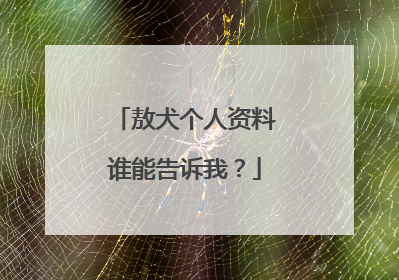 敖犬个人资料谁能告诉我?