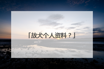 敖犬个人资料？