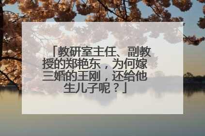 教研室主任、副教授的郑艳东，为何嫁三婚的王刚，还给他生儿子呢？