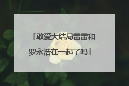敢爱大结局雷雷和罗永浩在一起了吗