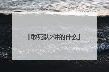 敢死队2讲的什么