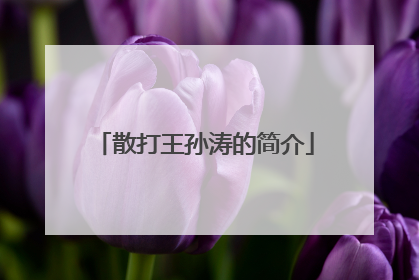 散打王孙涛的简介