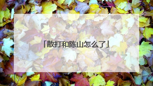 散打和陈山怎么了