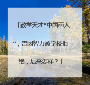 数学天才“中国雨人”,曾因智力被学校拒绝,后来怎样?
