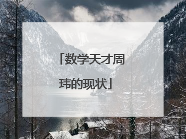 数学天才周玮的现状