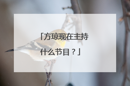 方琼现在主持什么节目？