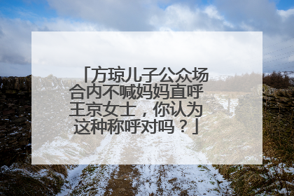 方琼儿子公众场合内不喊妈妈直呼王京女士，你认为这种称呼对吗？