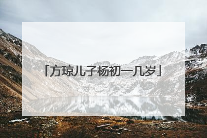 方琼儿子杨初一几岁