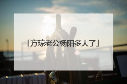 方琼老公杨阳多大了