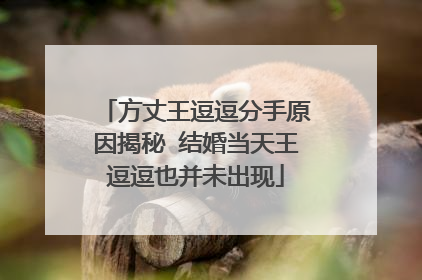 方丈王逗逗分手原因揭秘 结婚当天王逗逗也并未出现