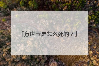 方世玉是怎么死的？