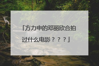 方力申的邓丽欣合拍过什么电影???