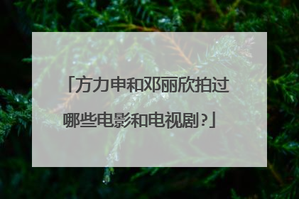 方力申和邓丽欣拍过哪些电影和电视剧?