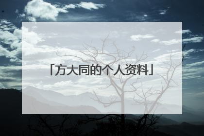 方大同的个人资料