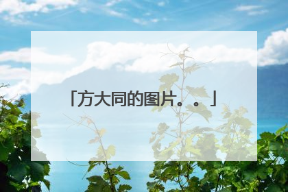 方大同的图片。。